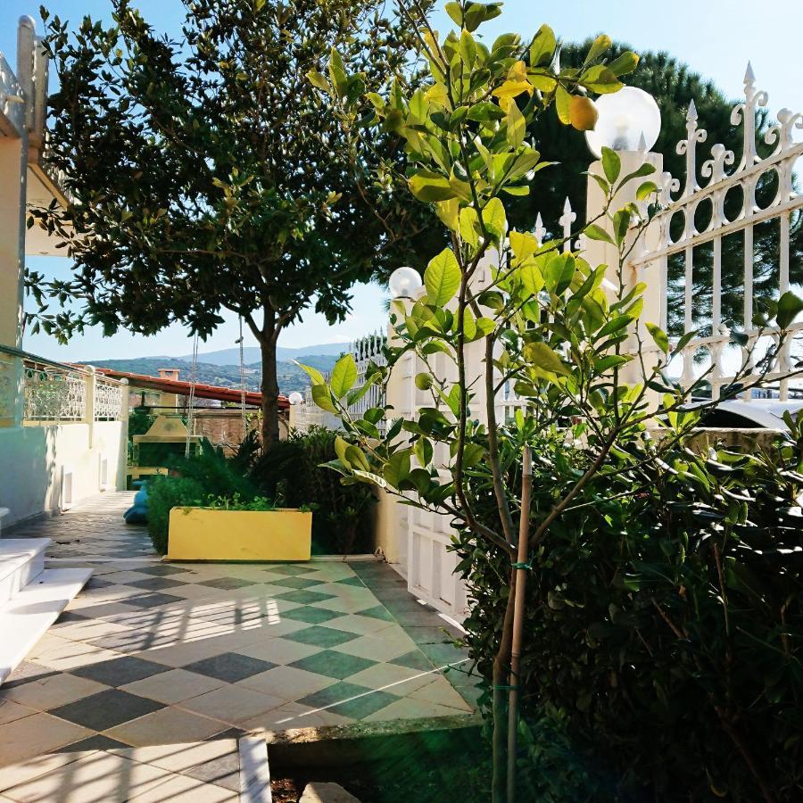 Villa Filoxenia All Seasons, Near Airport, Sea, Athens Agia Marina  외부 사진