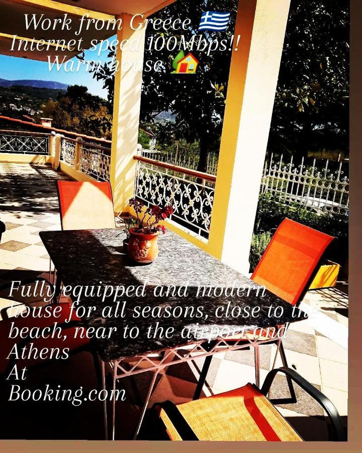 Villa Filoxenia All Seasons, Near Airport, Sea, Athens Agia Marina  외부 사진