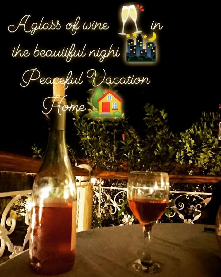 Villa Filoxenia All Seasons, Near Airport, Sea, Athens Agia Marina  외부 사진