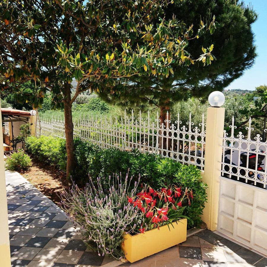 Villa Filoxenia All Seasons, Near Airport, Sea, Athens Agia Marina  외부 사진