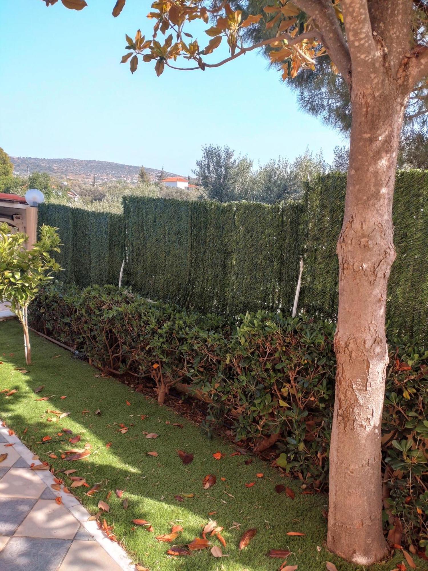 Villa Filoxenia All Seasons, Near Airport, Sea, Athens Agia Marina  외부 사진