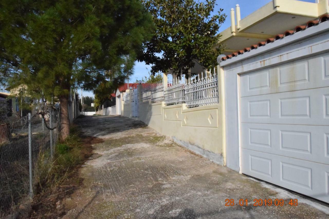 Villa Filoxenia All Seasons, Near Airport, Sea, Athens Agia Marina  외부 사진