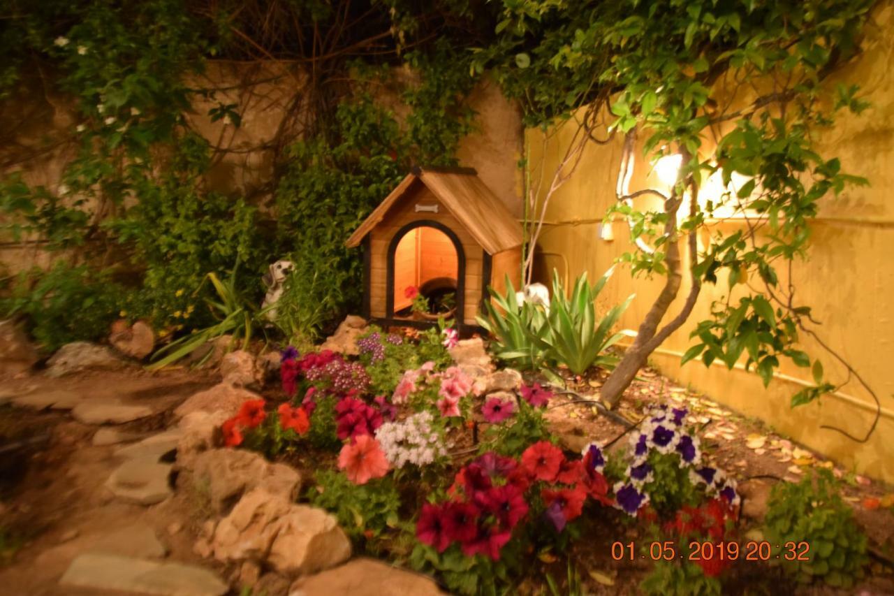 Villa Filoxenia All Seasons, Near Airport, Sea, Athens Agia Marina  외부 사진