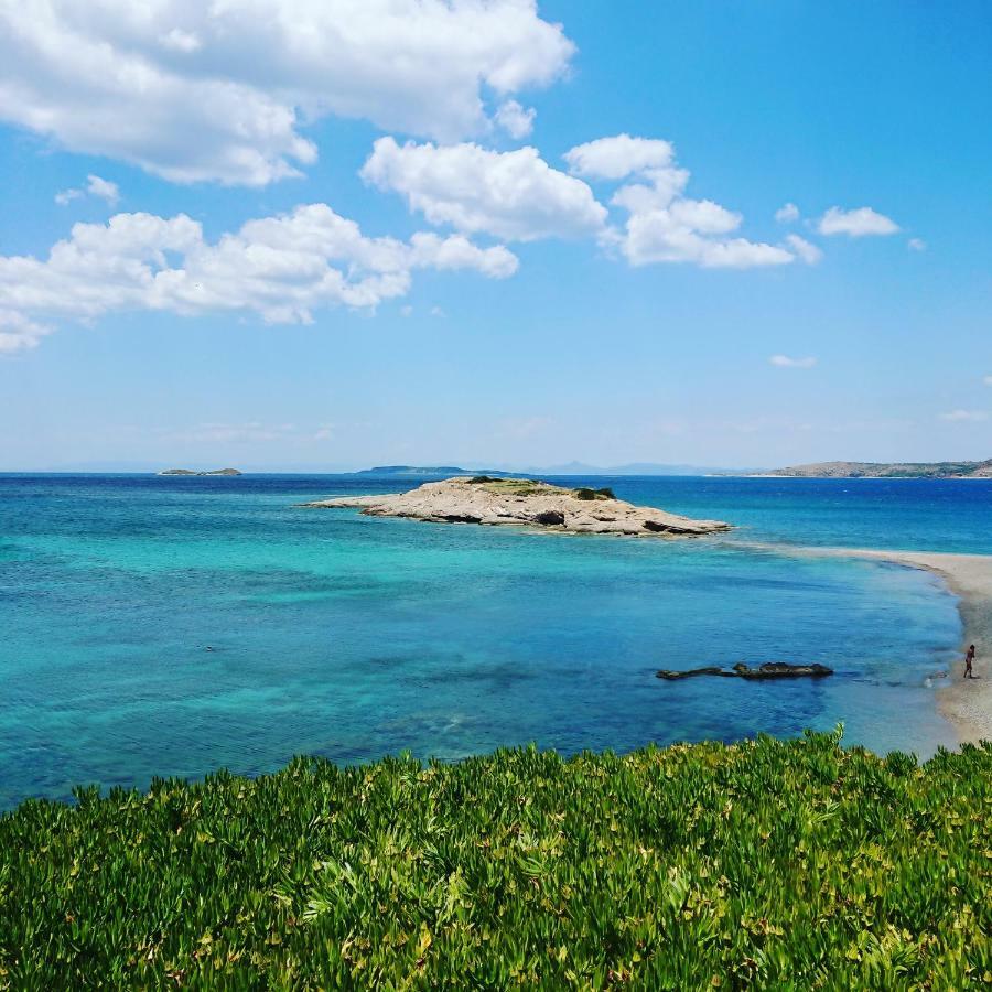 Villa Filoxenia All Seasons, Near Airport, Sea, Athens Agia Marina  외부 사진