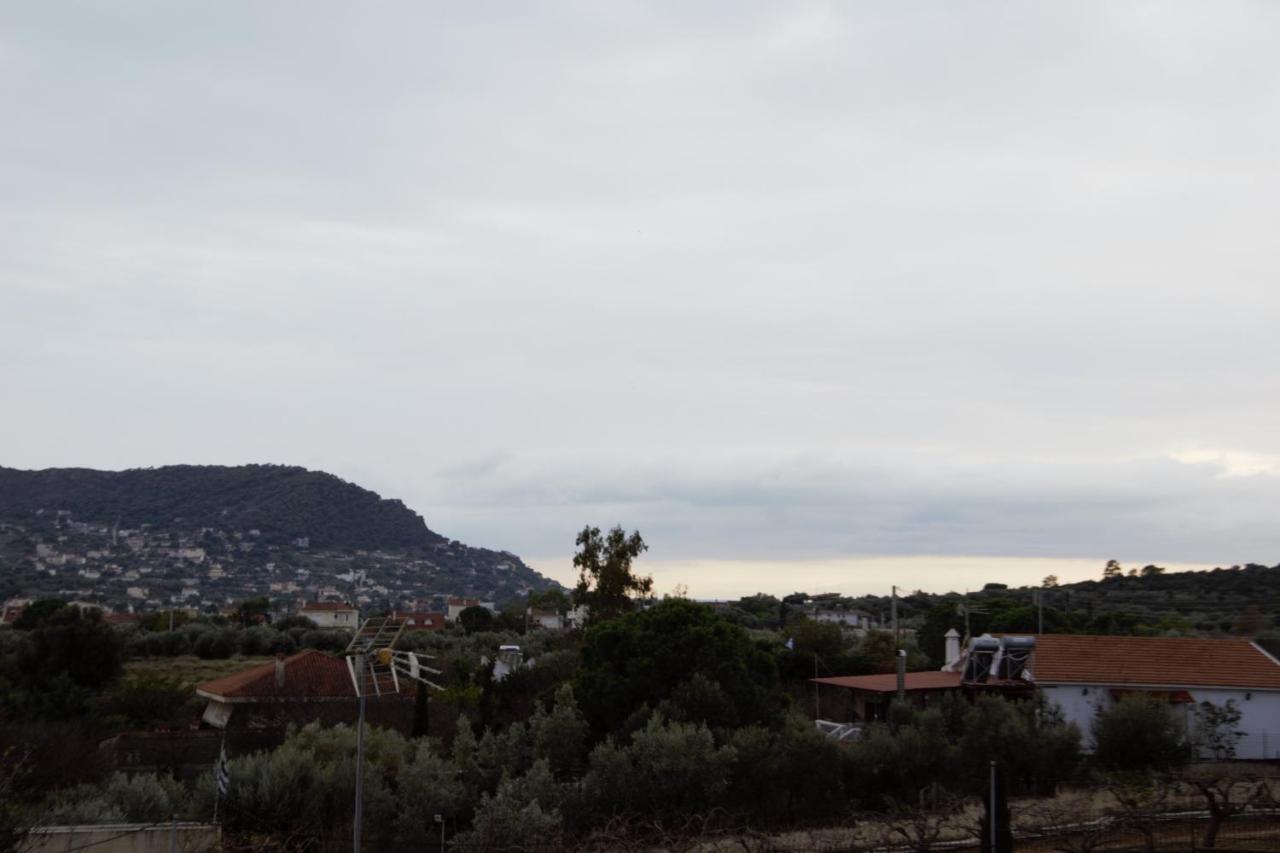 Villa Filoxenia All Seasons, Near Airport, Sea, Athens Agia Marina  외부 사진
